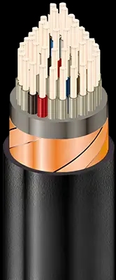 Signal and locking cables